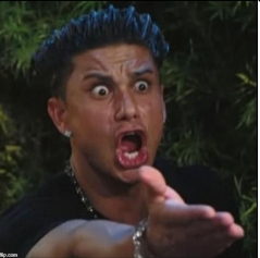 Pauly D Magnet