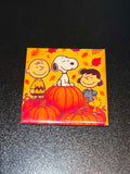 Peanuts Pumpkin Patch Magnet