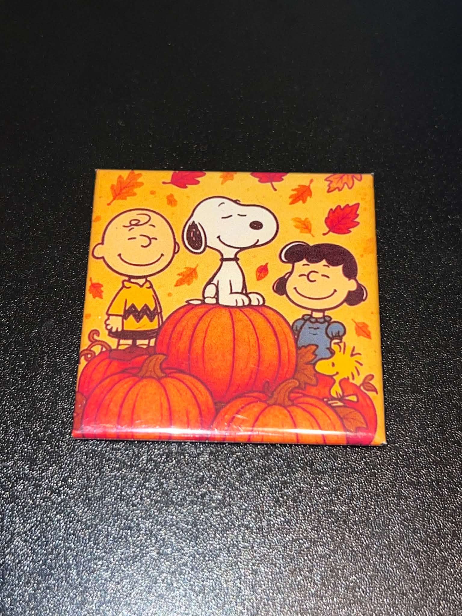 Peanuts Pumpkin Patch Magnet
