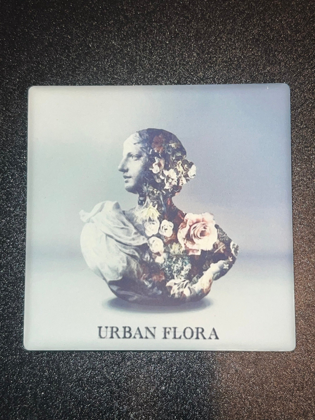 Alina Baraz and Galimatias Urban Flora cover coaster