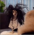 Dog in a black wig magnet
