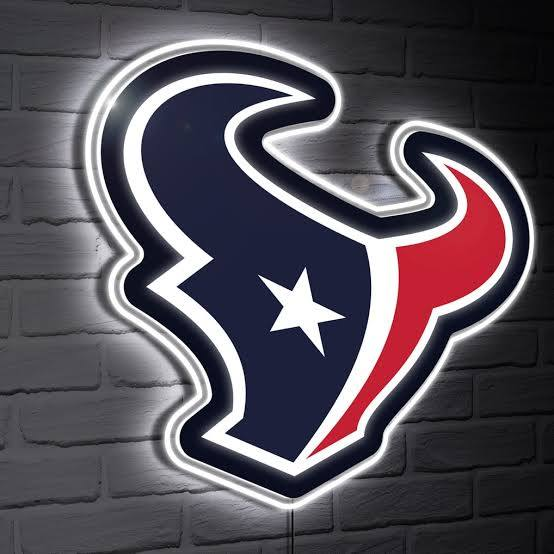 Texans Magnet