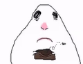 Hamster Chocolate Cake Magnet