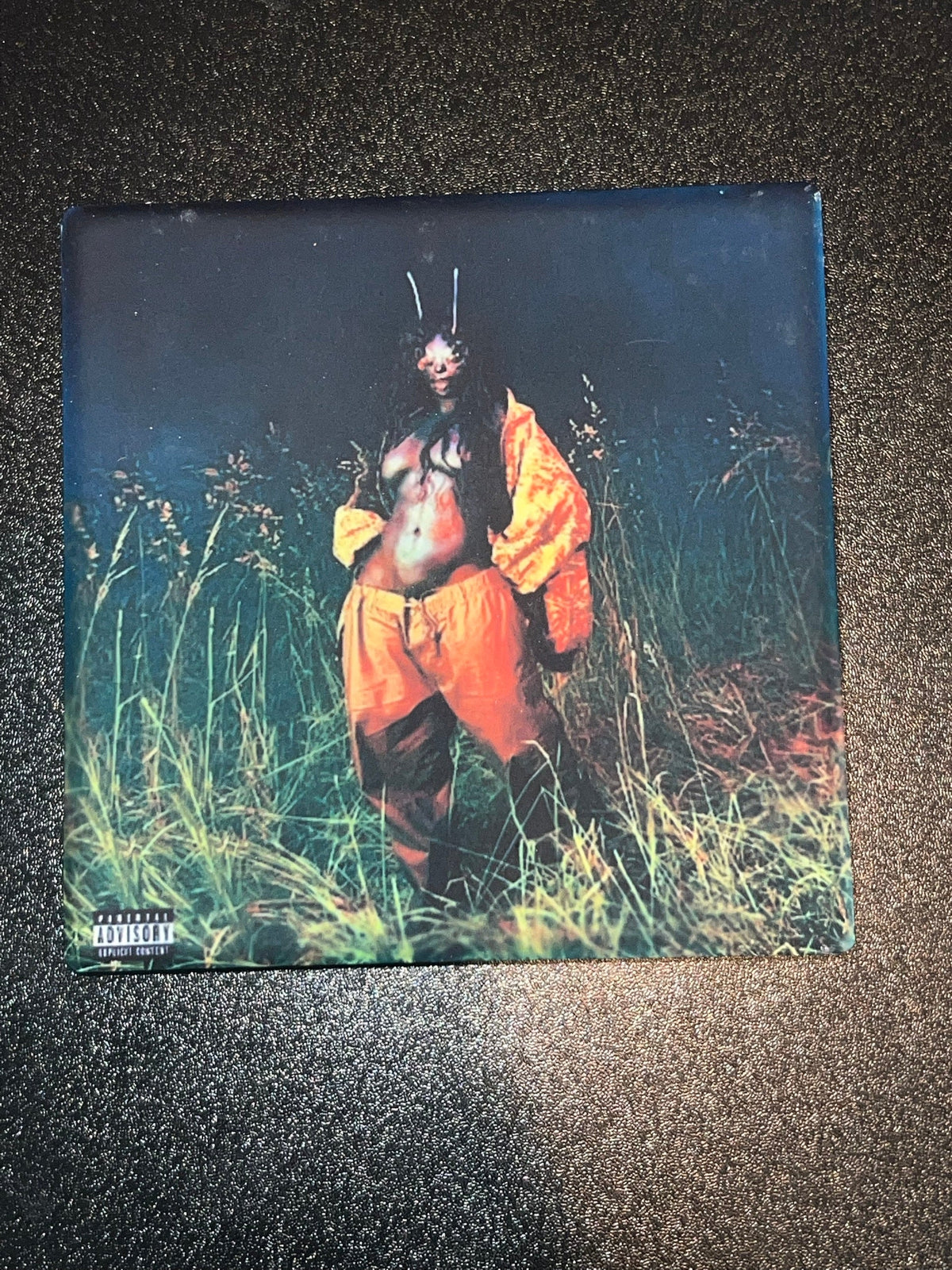 SZA SOS Deluxe Lana cover coaster