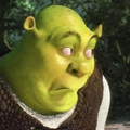 Shrek blank stare magnet