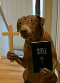 Church dog magnet