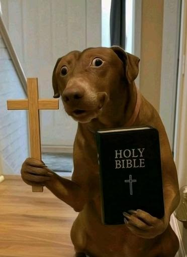 Church dog magnet
